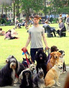 7.3.14-Daniel-Radcliffe-Dog-Walker1
