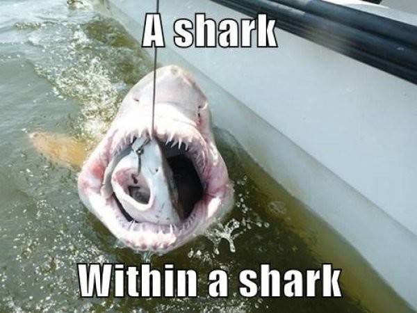 82f88ed44fdcbfa04365776cf7e481cb