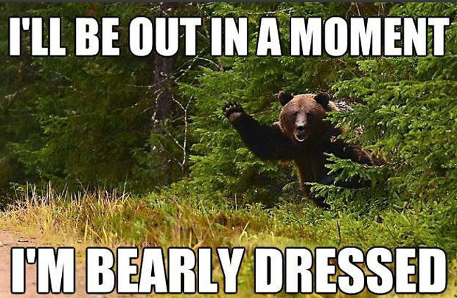 c0c6c50c77d8066614904c936f484853_650x