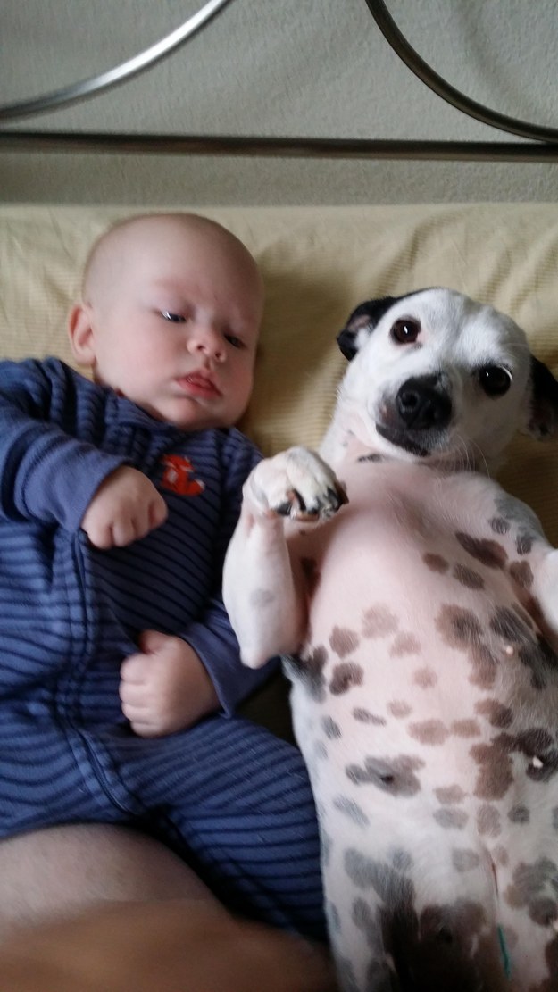 enhanced-buzz-26248-1416505376-8