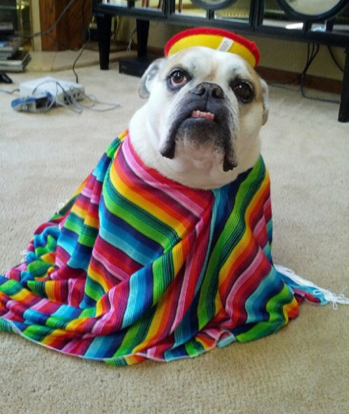 tumblr_nnw2cn4GEC1qewacoo6_500