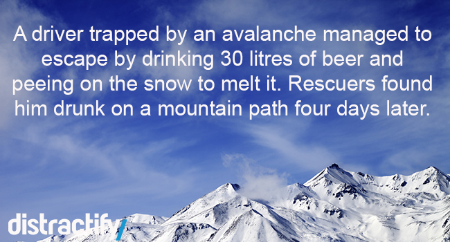 dc51927770a68dbf3b7ee0cd92a7cafc_650x